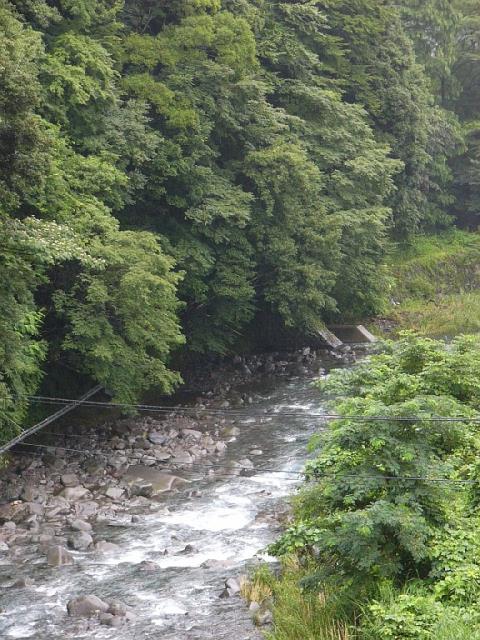 P1040111.JPG