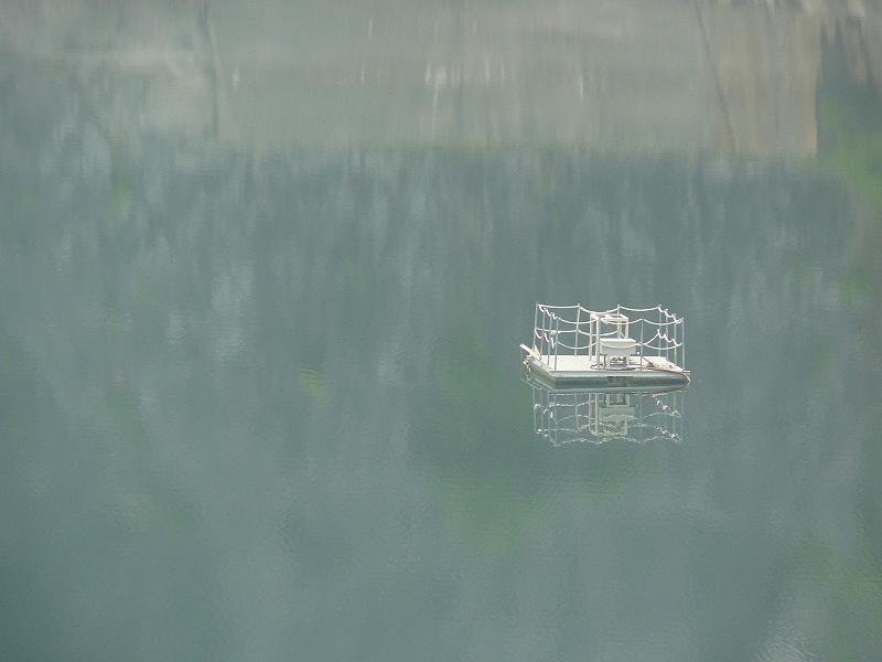P1000976.JPG