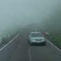 NagamoriKen_2010(2)