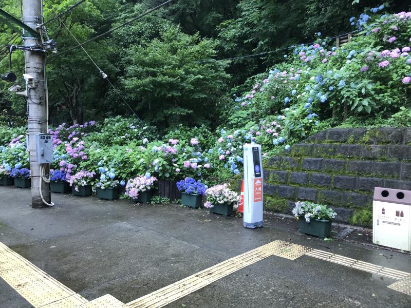 NagamoriKenOB_20190701- (14).jpg