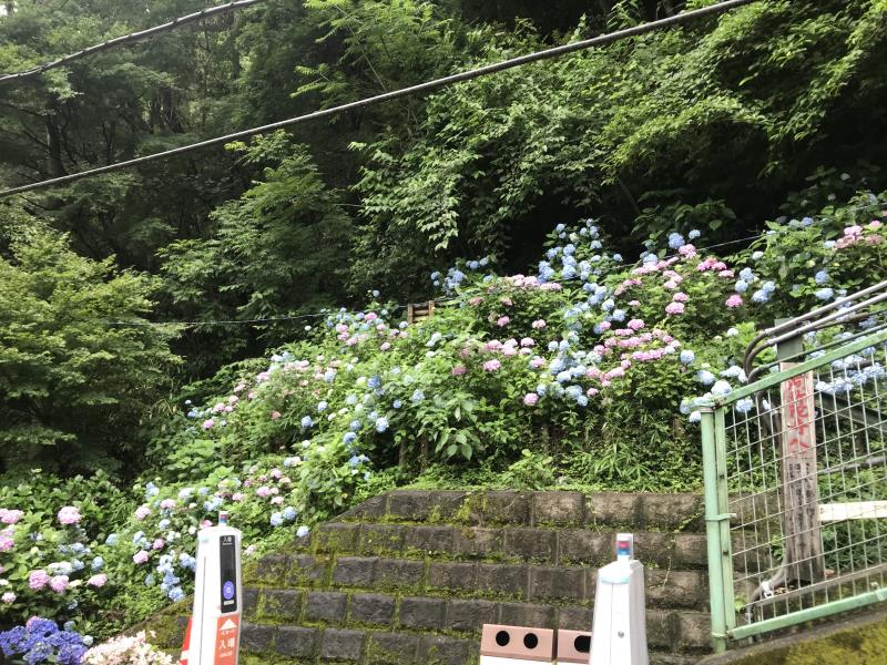 NagamoriKenOB_20190701- (15).jpg