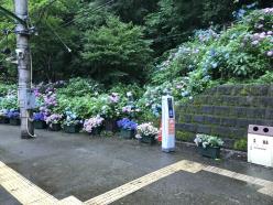 NagamoriKenOB_20190701- (14).jpg