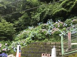 NagamoriKenOB_20190701- (15).jpg